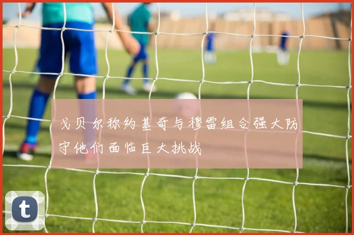 戈贝尔称约基奇与穆雷组合强大防守他们面临巨大挑战