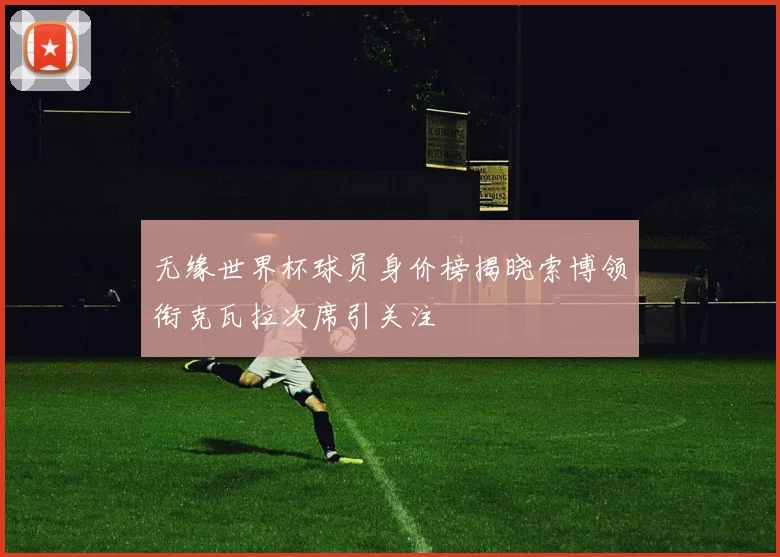无缘世界杯球员身价榜揭晓索博领衔克瓦拉次席引关注